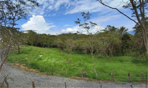 Terreno En Vente Sector Tulipe