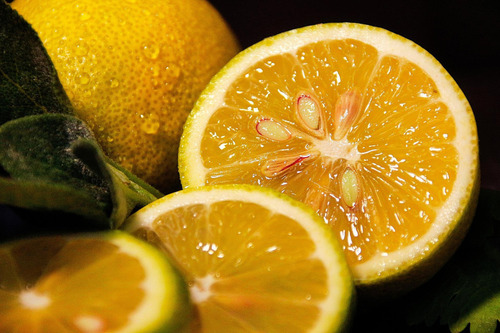 100 Semillas De Limonero
