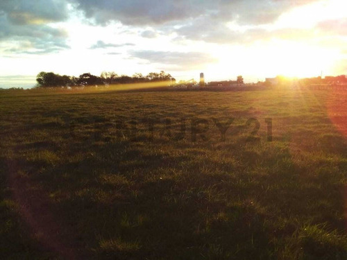 Imagen 8 de 15 de Espectacular Campo De 33 Hectáreas En Venta Con Casco Y Dos Galpones, Rp6
