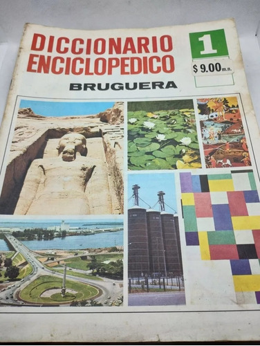Diccionario Enciclopedico Bruguera.
