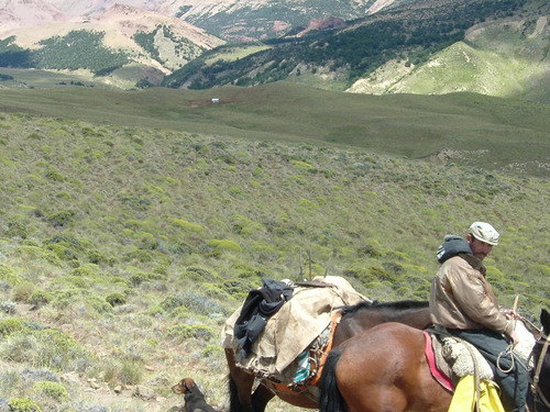 Increíble Estancia Con Costa De 2 Lagos, Productivo, Recreativo, Pesca...