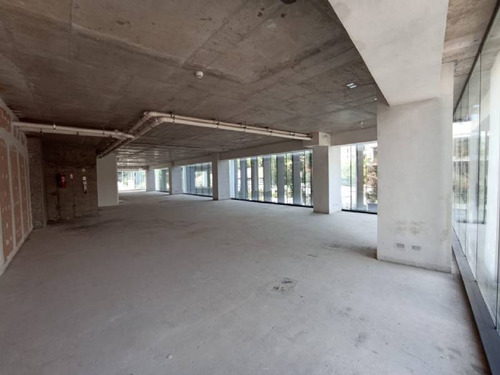 Local Comercial 1° Nivel Edificio Oficinas