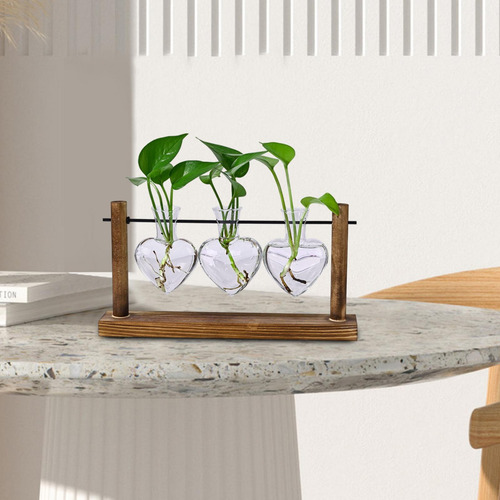 Estación De Propagación De Terrario Plant 30x16 Cm Para El