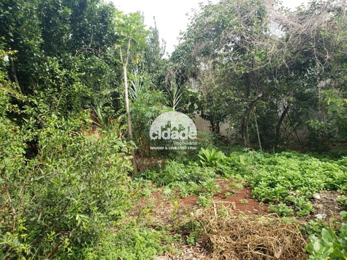 Imagem 3 de 4 de Casa Residencial À Venda, 3 Quartos, 1 Suíte, Santa Cruz - Cascavel/pr - 11311