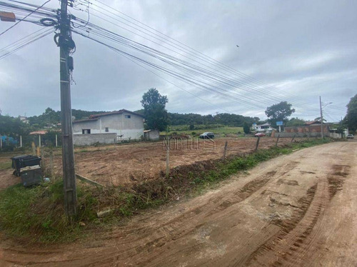 Imagem 6 de 10 de Terreno À Venda, 104 M² Por R$ 80.000,00 - Rio Vermelho - Florianópolis/sc - Te0220