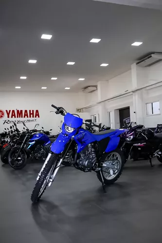 Yamaha Ttr 125 Trilha