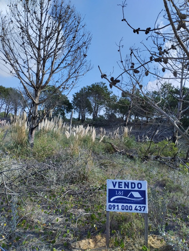 Se Vende Terreno En Punta Del Diablo A 150m De Playa La Viuda