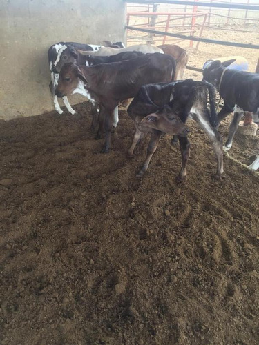 Imagen 14 de 14 de Finca En Venta Areo - Municipio Cedeño