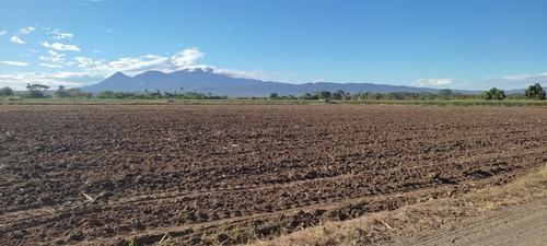 Imagen 2 de 8 de En Venta 10 Mz, Para Actividades Agrícolas O Agroindustria.
