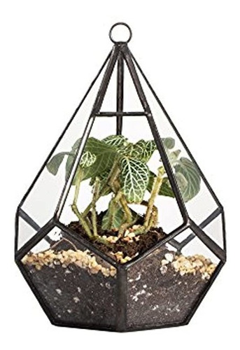 Pequeño Terrario Geométrico En Forma De Diamante