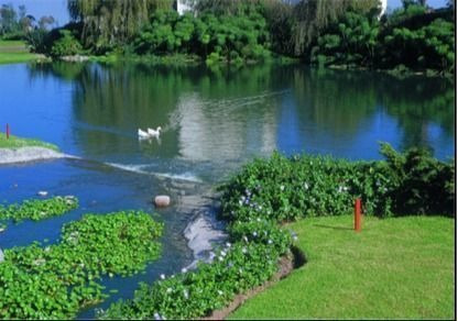 Imagen 7 de 11 de Departamento En Renta En Club De Golf Bosques