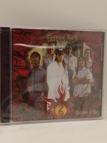 Grupo G Y G Volverte A Ver Cd Nuevo