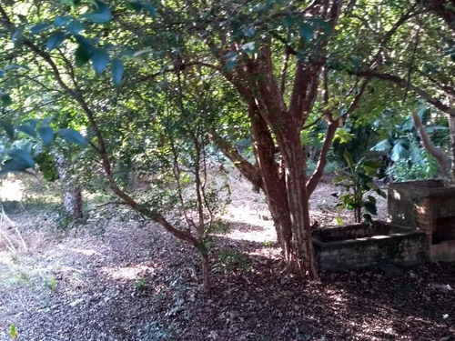 Imagem 7 de 10 de Rural - Venda - Parque Ortolândia - Cod. Ch0018 - Vch0018