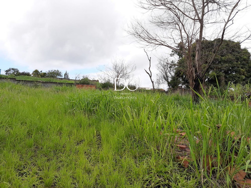 Imagem 3 de 8 de Terreno - Te00070 - 69451238