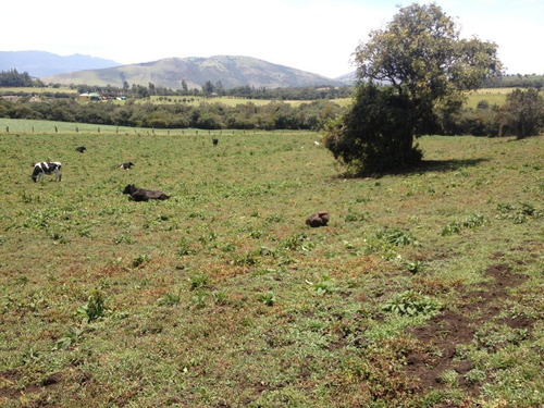 Imagen 23 de 25 de Finca 82.000 Mtrs2 Guasca V. Pastor Ospina.