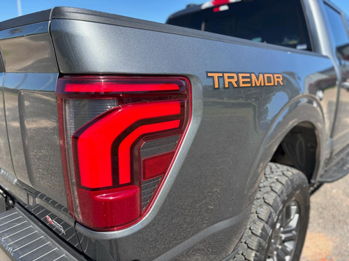 Ford F-150 5.0L V8 Tremor 4X4 At