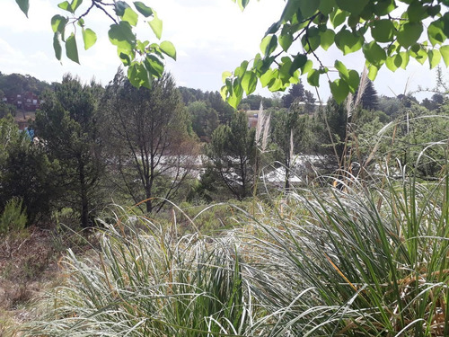 Imagen 5 de 7 de Oportunidad! Excelente Lote Amplio C/ Vista - Ideal Para Cabañas- Huerta Grande - Sierras De Córdoba