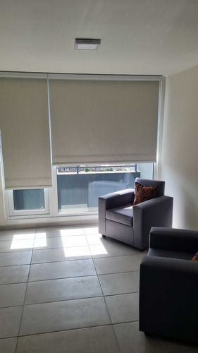 Arriendo Amoblado Nuevo Centro Concepcion (84964)