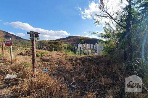 Imagem 7 de 7 de Lote À Venda No Mangabeiras - Código 267994 - 267994