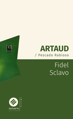 Artaud / Pescado Rabioso, De Fidel Sclavo. Editorial Estuario, Tapa Blanda, Edición 1 En Español