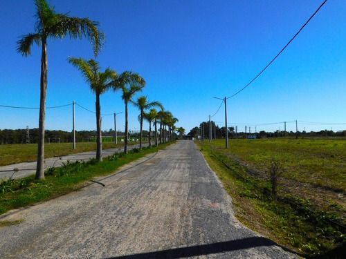 Venta Lote En El Lazo En Exaltacion De La Cruz