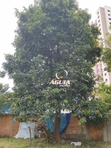 Imagem 15 de 17 de Terreno À Venda, 1000 M² Por R$ 3.500.000,00 - Vila Alzira - Santo André/sp - Te0266