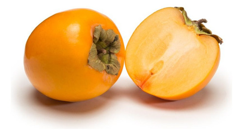Planta De Caki Fuyu