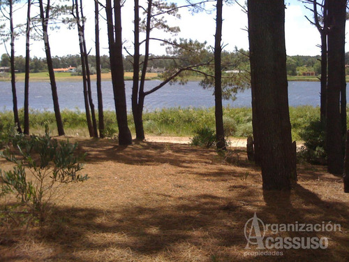 Terreno En Venta En Laguna Del Diario - Punta Del Este - Excelente Inversión - Apto Ph