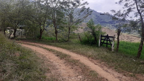 Imagen 21 de 21 de Vendo Finca Ganadera En Balboa Risaralda