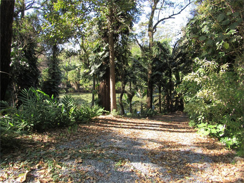 Imagem 8 de 21 de Terreno Dentro Da Chácara Flora - Reo507663
