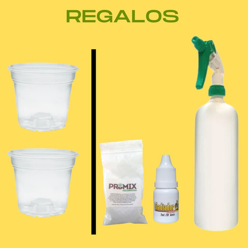 Kit Fertilizante Para Orquídeas + Sustrato + Enraizador