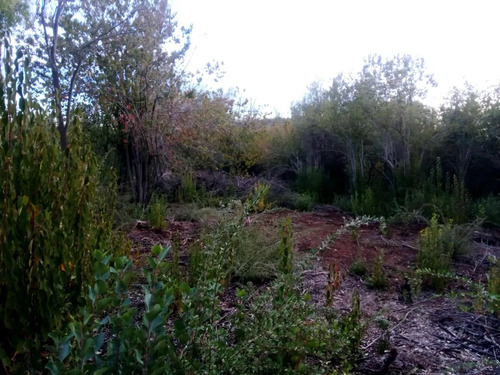 En Venta Parcela De Agrado La Placeta Molina Maule