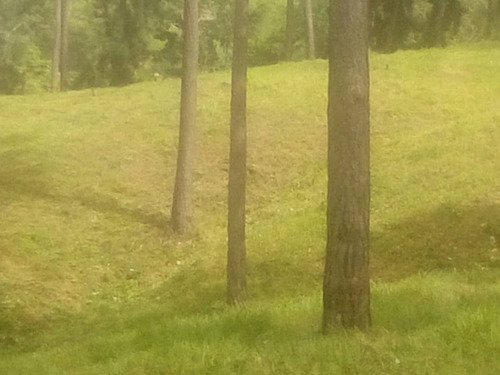 Finca Agrícola, En El Estado Miranda Fp