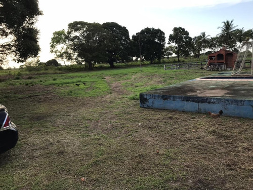 Imagen 5 de 14 de Se Vende Finca En La Vía Al Sur