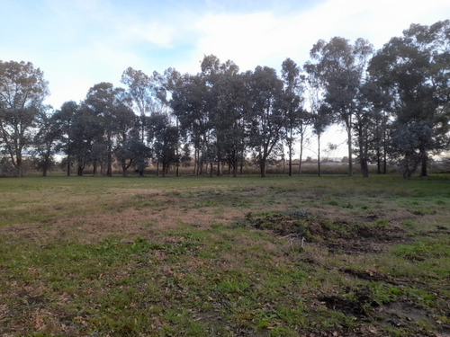 Particular Alquila Parcela/lote En Zona Ruta 36 La Plata