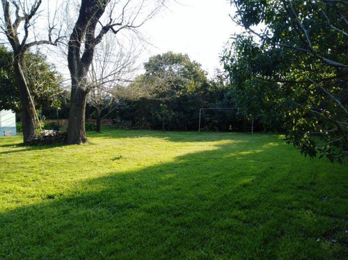 Imagen 1 de 3 de Lote | 484