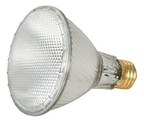 Satco 60 par30/l/hal/xen/pen/120 v s2242
