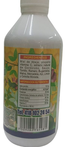 Jarabe Santo Remedio Reforzado 220ml Vías Respiratorias