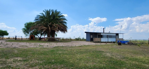 Imagen 9 de 30 de Excelente Campo Con Muy Buenas Mejoras .