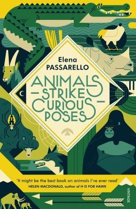 Animals Strike Curious Poses - Elena Passarello