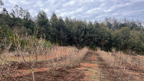 Agrícola En Venta En Gorbea