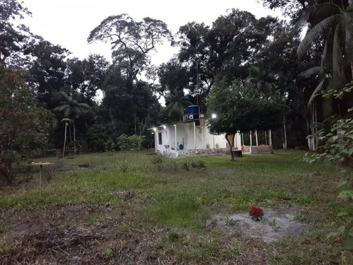 Chácara Em Itanhaém - 4070 - 67665973