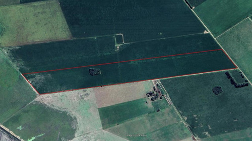 Venta - Campo - 30 Has - Monje, Santa Fe.