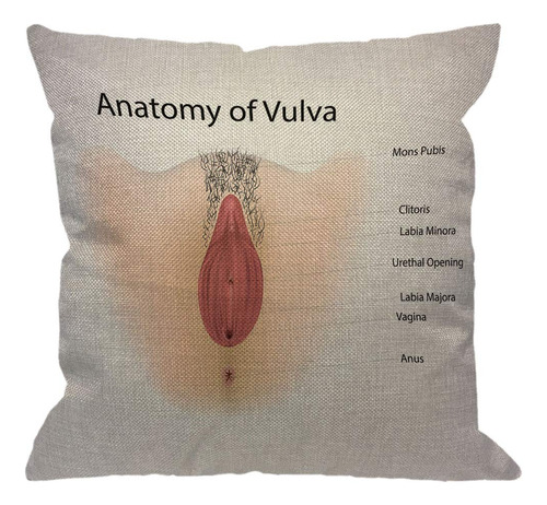 Hgod Designs Funda De Almohada De Anatomía De Vulva, Vagin.