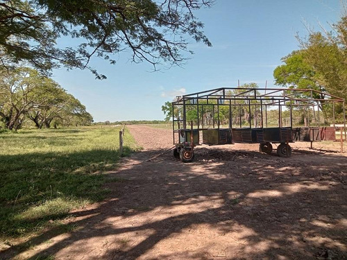 Campo En Venta - Chaco, Dpto Bermejo, Estancia Mongay, 5.700 Ha.