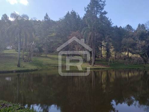Imagem 28 de 30 de Itio Ideal Para O Seu Lazer Tendo 3 Lagos Piscosos Com Peixe, 02 Nascentes Próprias, Pomar, Horta. - 77 - 70066608