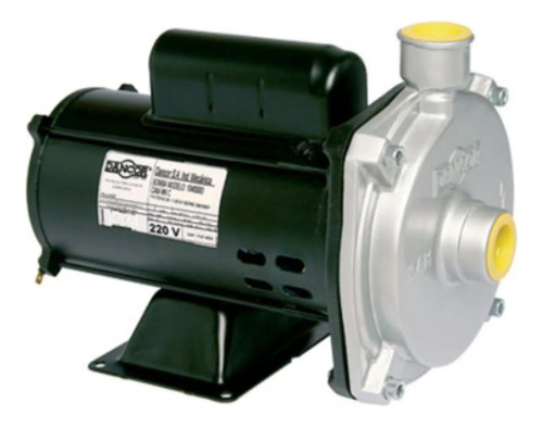 Bomba Centrífuga Cam-w16 1 Cv Monofásica 110/254v Dancor