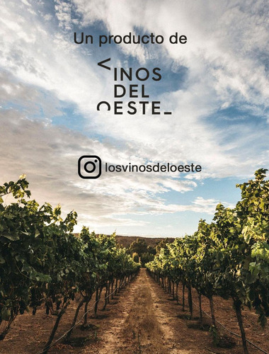 Vino Blanco Sauvignon Blanc Y Vino Tinto Tempranillo, Cabern
