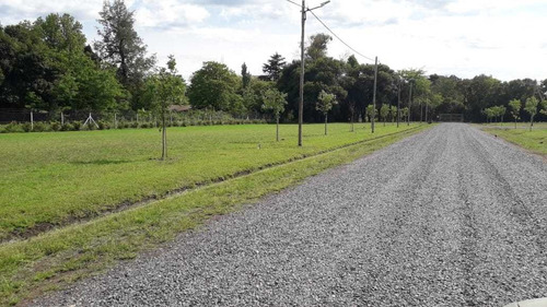 Imagen 7 de 14 de Emprendimiento Barrio La Sofia - Semi Cerrado Sin Expensas - Lotes Y Terrenos Marcos Paz Terreno Lote Marcos Paz