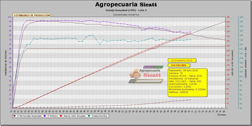 Sistema De Contabilidad Avícola Sicatt - Gallinas Ponedoras